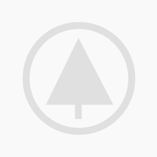 Classic wooden chair